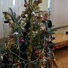 Phoca Thumb M Img 20221216 151253